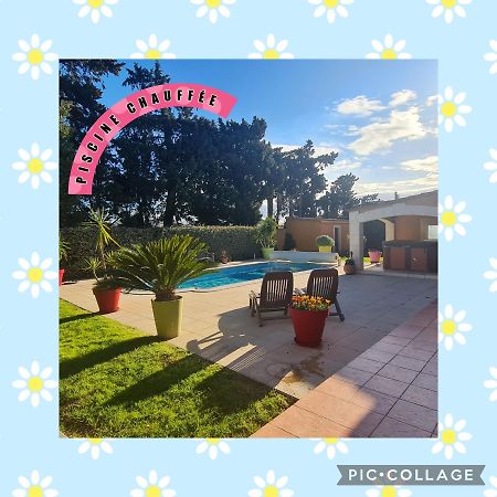 Villa Flamenca - Piscine Chauffee Châteaurenard Buitenkant foto